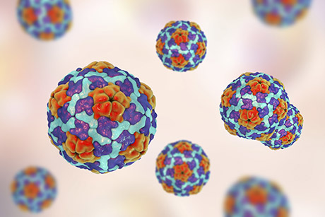 A microscopic image provided by the CDC shows the Hepatitis A virus, which are blue and red spheres.