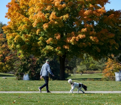 individual walking dog on path