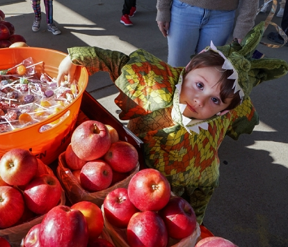 Young child trick or treating by apples at the Oakland County Farmers Market.