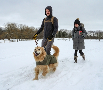 winter trail