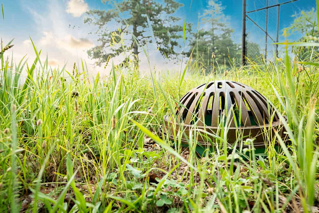 A storm drain in a field of weeds near a fenced yard.