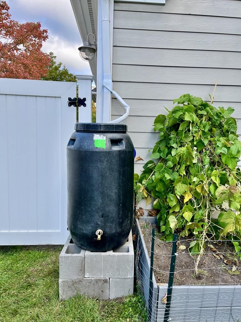 Homeowner rain barrel outside of door near a box garden.