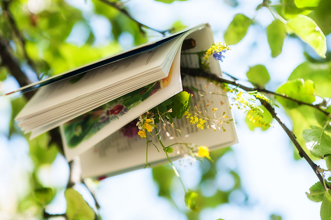 A gardening book hanging on a tree branch.