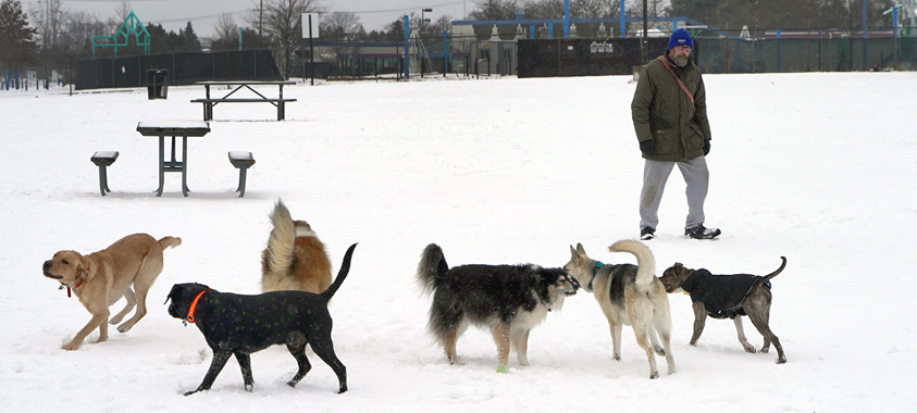 red oaks dog park