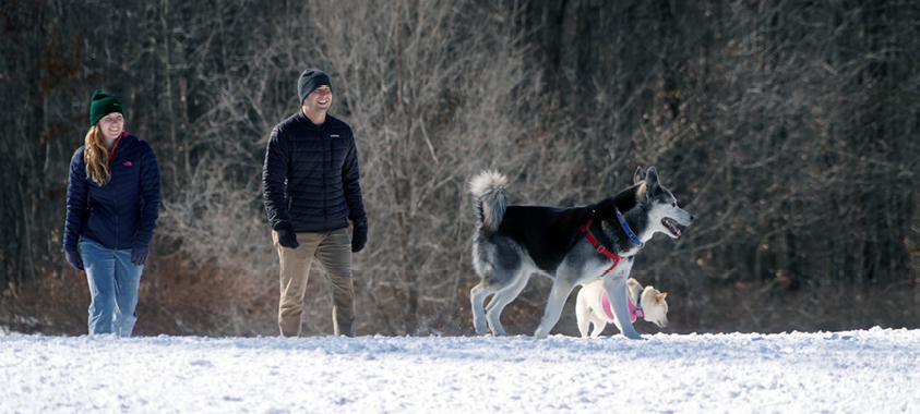 orion oaks dog park