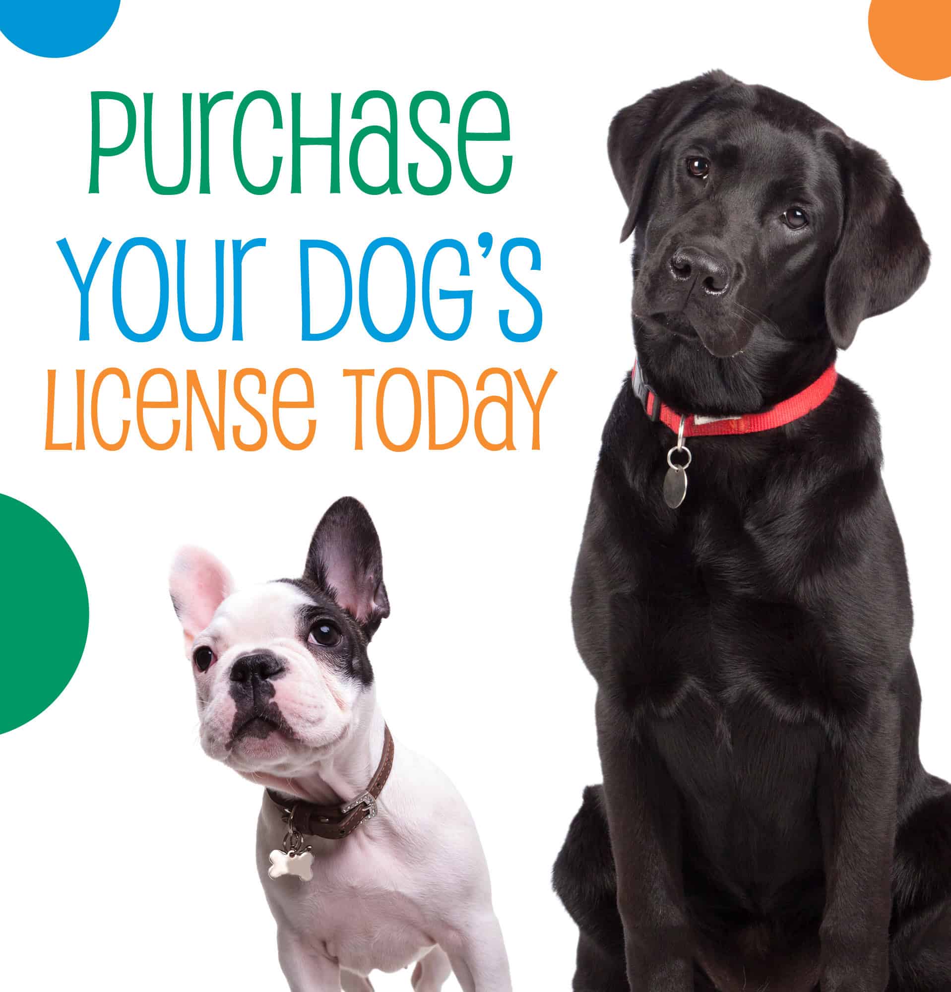 Oakland County ASPAC Dog License Renewal and Purchase