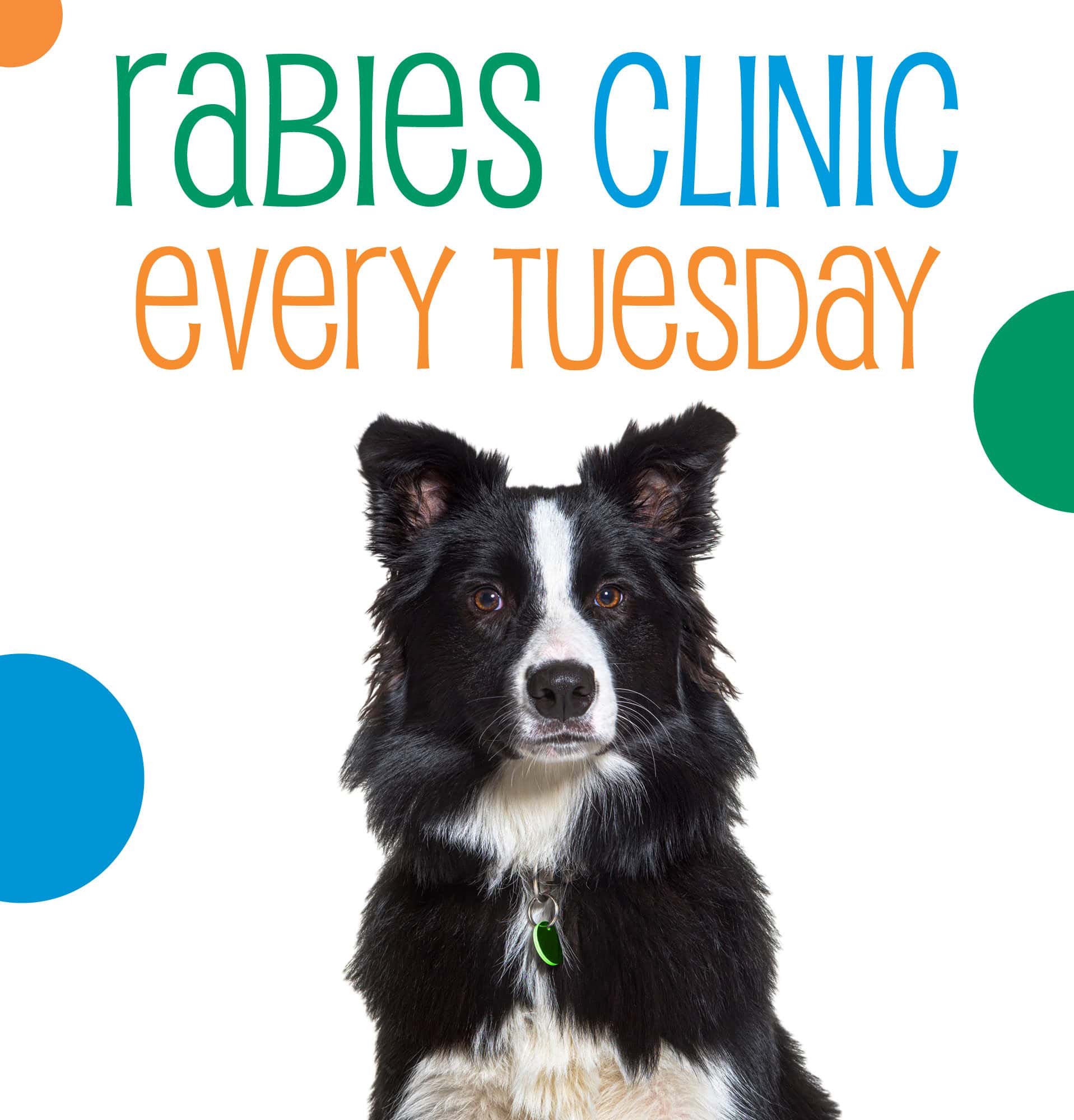 Rabies Clinic every Tuesday at Oakland County Animal Shelter