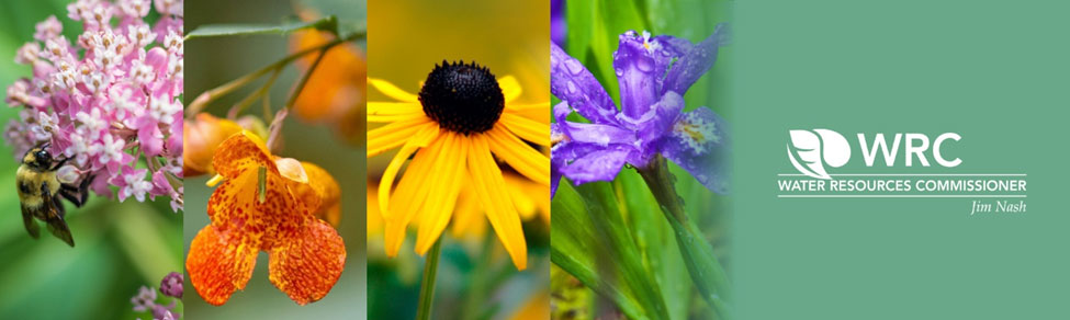 A variety of colorful flowers featuring the Water Resources Commissioner's logo, adding a fun touch to the beautiful blooms.