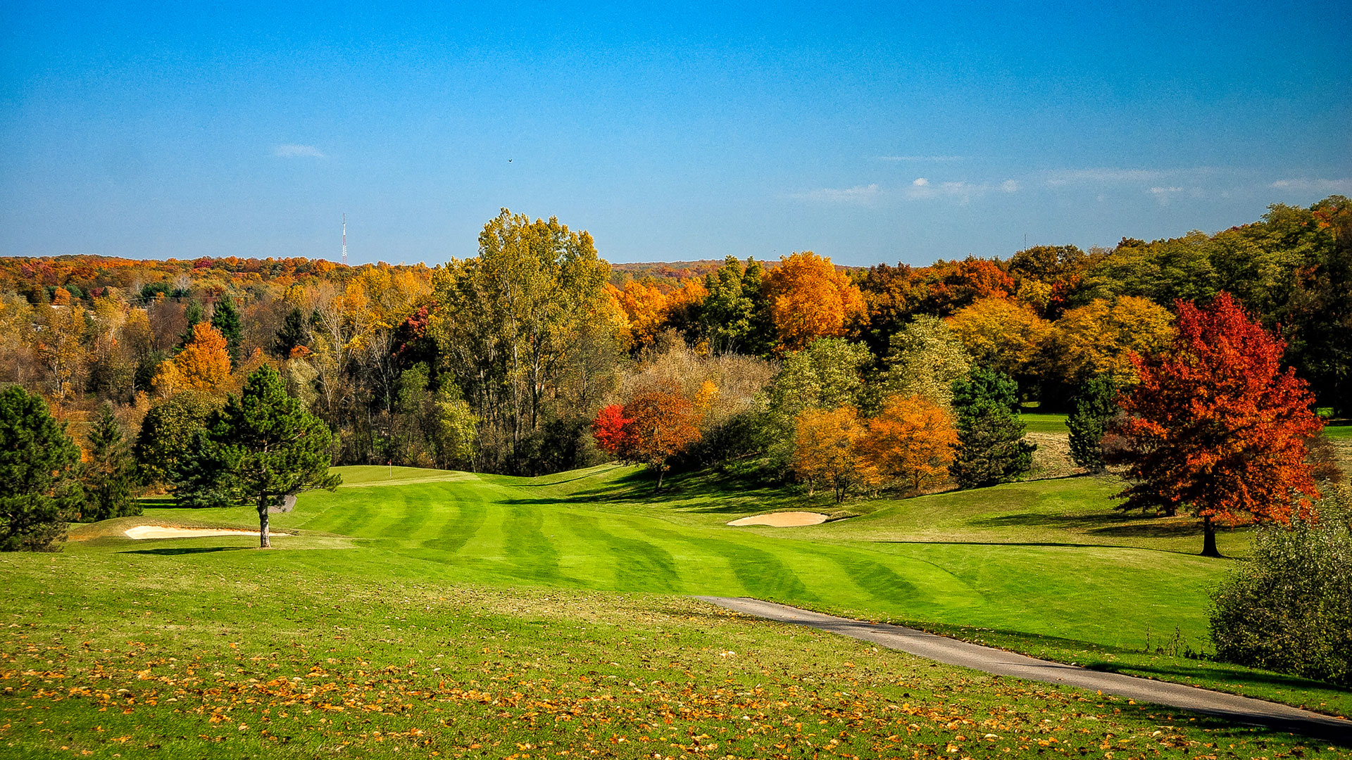 Clear blue sky and vibrant fall colors at Springfield Oaks Golf Course.