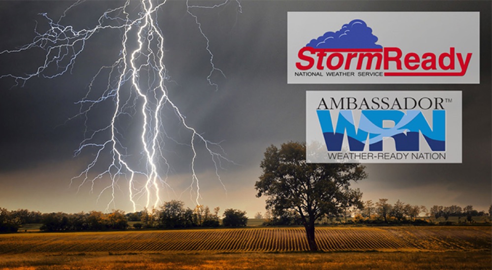 lightning in a field with a single tree