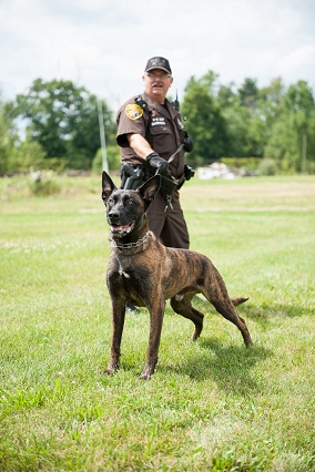 Canine Unit officer with dog