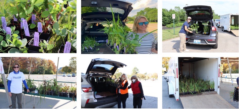 Grid of photos of commissioners and plants