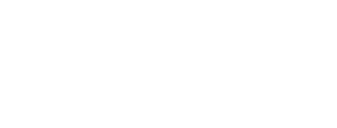 Michigan Reconnect