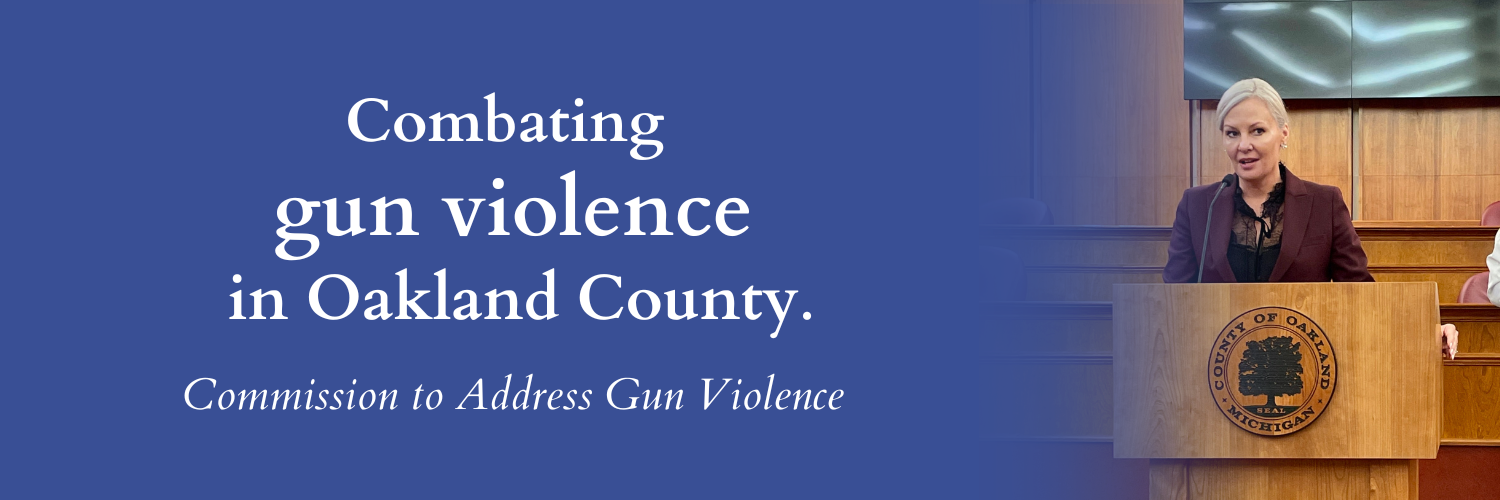 Prosecutor McDonald is committed to combating gun violence in Oakland County and beyond.