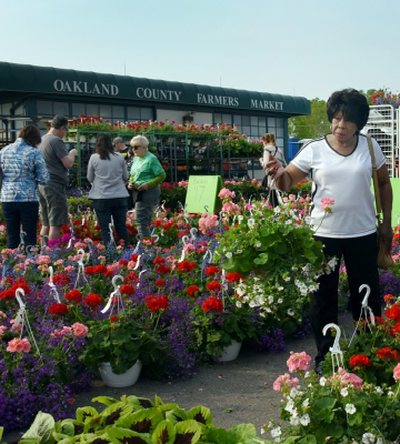 Senior Market Day at Farmers Market