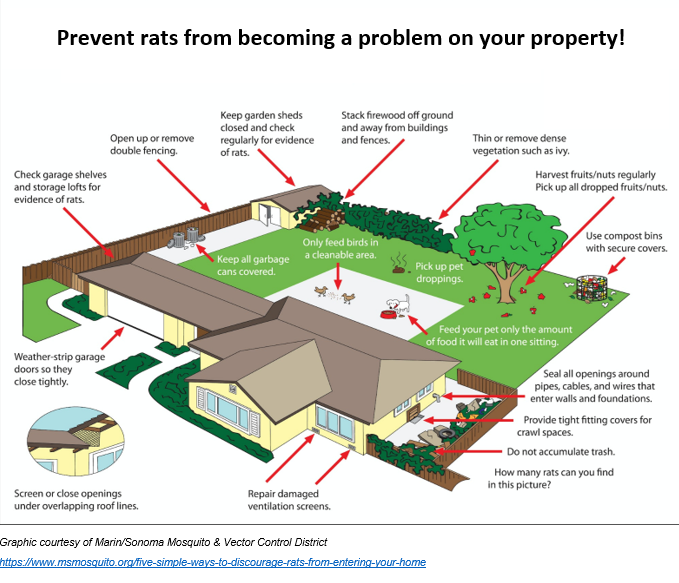 Graphic showing areas around the house to address to prevent rodent infestation