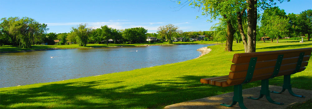 Michigan park with bench, trees and lake