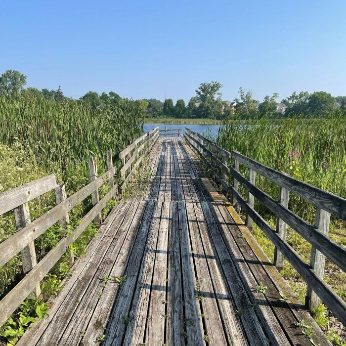 Boardwalk at Hawthorne Park in Pontiac leading to a lake